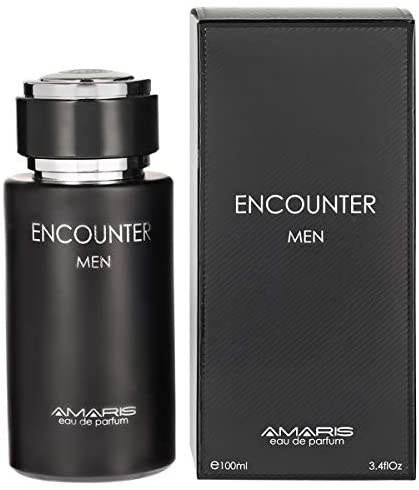 Encounter by Amaris - perfume for men 100 ml